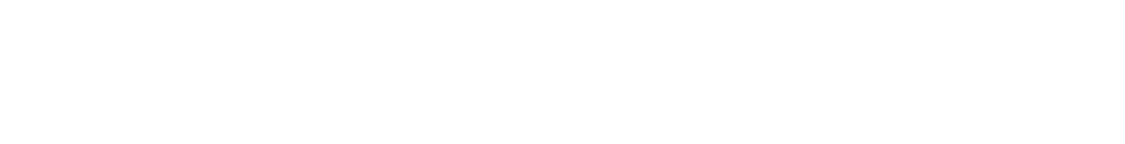 FDS worldwide logo